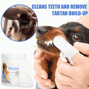 (🍀 HOT SALE 🍀)-Pet Dental Cleaning Finger Wipes